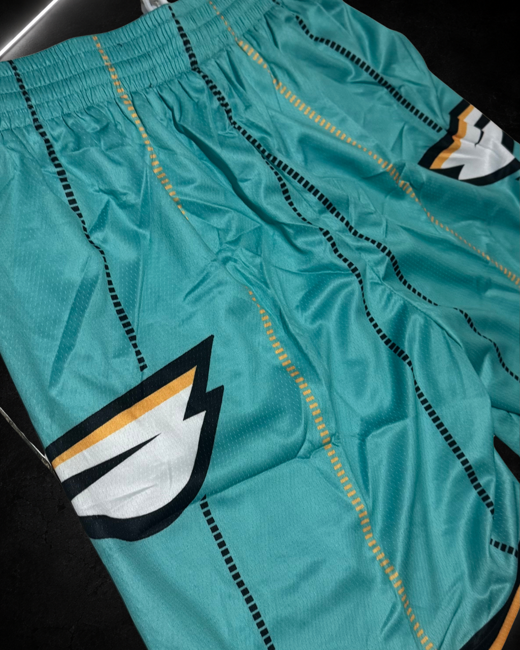 Short NBA - Charlotte Hornets